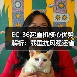 EC-36起重机核心优势解析:载重抗风强还省电(图1) EC-36起重机核心优势解析:载重抗风强还省电(图1)