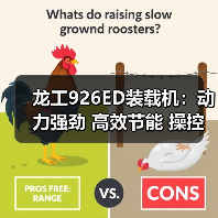 龙工926ED装载机：动力强劲 高效节能 操控自如 多功能强（图2）