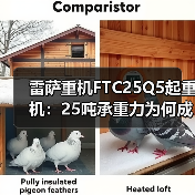 雷萨重机FTC25Q5起重机:25吨承重力为何成高空作业首选?(图1) 雷萨重机FTC25Q5起重机:25吨承重力为何成高空作业首选?(图1)