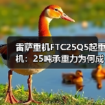 雷萨重机FTC25Q5起重机:25吨承重力为何成高空作业首选?(图3) 雷萨重机FTC25Q5起重机:25吨承重力为何成高空作业首选?(图3)