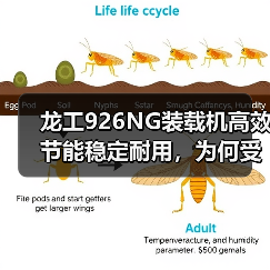 龙工926NG装载机高效节能稳定耐用,为何受用户青睐?(图1) 龙工926NG装载机高效节能稳定耐用,为何受用户青睐?(图1)