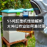 55吨起重机性能解析,大吨位作业如何兼顾高效与安全?(图2) 55吨起重机性能解析,大吨位作业如何兼顾高效与安全?(图2)