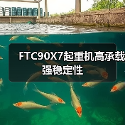 FTC90X7起重机高承载强稳定性(图3) FTC90X7起重机高承载强稳定性(图3)