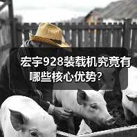 宏宇928装载机究竟有哪些核心优势?(图2) 宏宇928装载机究竟有哪些核心优势?(图2)