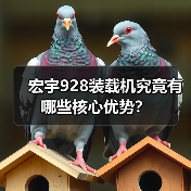 宏宇928装载机究竟有哪些核心优势?(图3) 宏宇928装载机究竟有哪些核心优势?(图3)