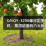 GNQY-3200单排起重机:高效起重的六大核心优势(图4) GNQY-3200单排起重机:高效起重的六大核心优势(图4)