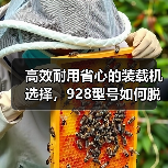 高效耐用省心的装载机选择,928型号如何脱颖而出?(图2) 高效耐用省心的装载机选择,928型号如何脱颖而出?(图2)