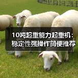 10吨起重能力起重机:稳定性强操作简便推荐(图2) 10吨起重能力起重机:稳定性强操作简便推荐(图2)