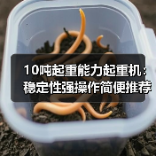 10吨起重能力起重机:稳定性强操作简便推荐(图3) 10吨起重能力起重机:稳定性强操作简便推荐(图3)