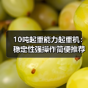 10吨起重能力起重机:稳定性强操作简便推荐(图4) 10吨起重能力起重机:稳定性强操作简便推荐(图4)