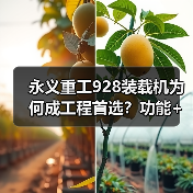 永义重工928装载机为何成工程首选?功能+动力+操控全解析(图1) 永义重工928装载机为何成工程首选?功能+动力+操控全解析(图1)