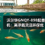 沃尔华GNQY-898起重机:高承载灵活环保优势解析(图1) 沃尔华GNQY-898起重机:高承载灵活环保优势解析(图1)