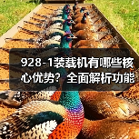 928-1装载机有哪些核心优势？全面解析功能与性能（图4）