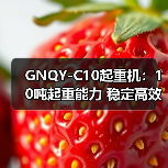GNQY-C10起重机:10吨起重能力 稳定高效操作解析(图3) GNQY-C10起重机:10吨起重能力 稳定高效操作解析(图3)