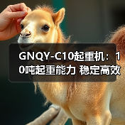 GNQY-C10起重机:10吨起重能力 稳定高效操作解析(图4) GNQY-C10起重机:10吨起重能力 稳定高效操作解析(图4)