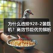 为什么选择928-2装载机?高效节能优势解析(图1) 为什么选择928-2装载机?高效节能优势解析(图1)
