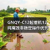 GNQY-C12起重机12吨高效率稳定操作优势解析(图2) GNQY-C12起重机12吨高效率稳定操作优势解析(图2)