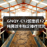 GNQY-C12起重机12吨高效率稳定操作优势解析(图1) GNQY-C12起重机12吨高效率稳定操作优势解析(图1)