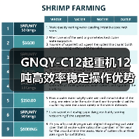 GNQY-C12起重机12吨高效率稳定操作优势解析(图4) GNQY-C12起重机12吨高效率稳定操作优势解析(图4)