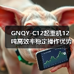 GNQY-C12起重机12吨高效率稳定操作优势解析(图3) GNQY-C12起重机12吨高效率稳定操作优势解析(图3)