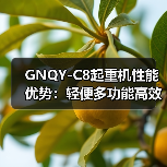 GNQY-C8起重机性能优势:轻便多功能高效作业(图3) GNQY-C8起重机性能优势:轻便多功能高效作业(图3)