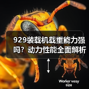 929装载机载重能力强吗?动力性能全面解析(图1) 929装载机载重能力强吗?动力性能全面解析(图1)