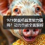 929装载机载重能力强吗?动力性能全面解析(图2) 929装载机载重能力强吗?动力性能全面解析(图2)