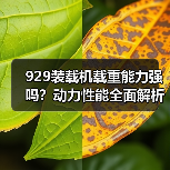 929装载机载重能力强吗?动力性能全面解析(图3) 929装载机载重能力强吗?动力性能全面解析(图3)