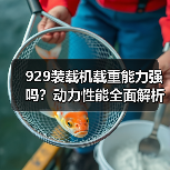 929装载机载重能力强吗?动力性能全面解析(图4) 929装载机载重能力强吗?动力性能全面解析(图4)