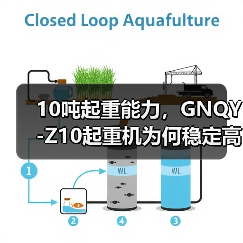 10吨起重能力,GNQY-Z10起重机为何稳定高效?(图1) 10吨起重能力,GNQY-Z10起重机为何稳定高效?(图1)