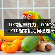 10吨起重能力,GNQY-Z10起重机为何稳定高效?(图3) 10吨起重能力,GNQY-Z10起重机为何稳定高效?(图3)