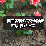 国四装载机高效省油更可靠 性能推荐(图3) 国四装载机高效省油更可靠 性能推荐(图3)