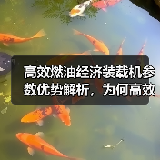 高效燃油经济装载机参数优势解析,为何高效?(图2) 高效燃油经济装载机参数优势解析,为何高效?(图2)