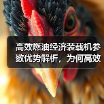 高效燃油经济装载机参数优势解析,为何高效?(图4) 高效燃油经济装载机参数优势解析,为何高效?(图4)