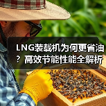 LNG装载机为何更省油？高效节能性能全解析（图4）