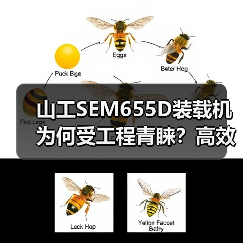 山工SEM655D装载机为何受工程青睐?高效作业的秘密(图3) 山工SEM655D装载机为何受工程青睐?高效作业的秘密(图3)