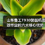 山东鲁工T930装载机高效作业的六大核心优势(图4) 山东鲁工T930装载机高效作业的六大核心优势(图4)