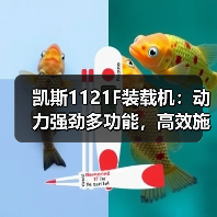 凯斯1121F装载机:动力强劲多功能,高效施工稳定耐用(图2) 凯斯1121F装载机:动力强劲多功能,高效施工稳定耐用(图2)