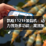 凯斯1121F装载机:动力强劲多功能,高效施工稳定耐用(图4) 凯斯1121F装载机:动力强劲多功能,高效施工稳定耐用(图4)