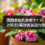 国四装载机选哪个?ZL20E(D)高效省油动力强(图1) 国四装载机选哪个?ZL20E(D)高效省油动力强(图1)