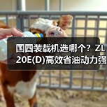 国四装载机选哪个?ZL20E(D)高效省油动力强(图4) 国四装载机选哪个?ZL20E(D)高效省油动力强(图4)