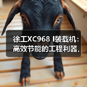 徐工XC968 I装载机：高效节能的工程利器，6500kg载重实力如何？（图3）
