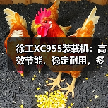 徐工XC955装载机:高效节能,稳定耐用,多场景应用首选(图2) 徐工XC955装载机:高效节能,稳定耐用,多场景应用首选(图2)