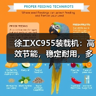 徐工XC955装载机:高效节能,稳定耐用,多场景应用首选(图4) 徐工XC955装载机:高效节能,稳定耐用,多场景应用首选(图4)