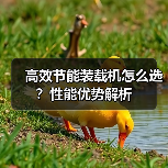 高效节能装载机怎么选?性能优势解析(图2) 高效节能装载机怎么选?性能优势解析(图2)