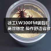 徐工LW300FM装载机高效稳定 操作舒适省维护(图4) 徐工LW300FM装载机高效稳定 操作舒适省维护(图4)