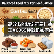 高效节能稳定可靠!徐工XC965装载机如何应对多场景挑战(图3) 高效节能稳定可靠!徐工XC965装载机如何应对多场景挑战(图3)
