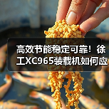 高效节能稳定可靠!徐工XC965装载机如何应对多场景挑战(图4) 高效节能稳定可靠!徐工XC965装载机如何应对多场景挑战(图4)