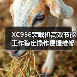 XC956装载机高效节能工作稳定操作便捷维修省心为何成首选(图2) XC956装载机高效节能工作稳定操作便捷维修省心为何成首选(图2)