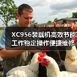 XC956装载机高效节能工作稳定操作便捷维修省心为何成首选(图4) XC956装载机高效节能工作稳定操作便捷维修省心为何成首选(图4)